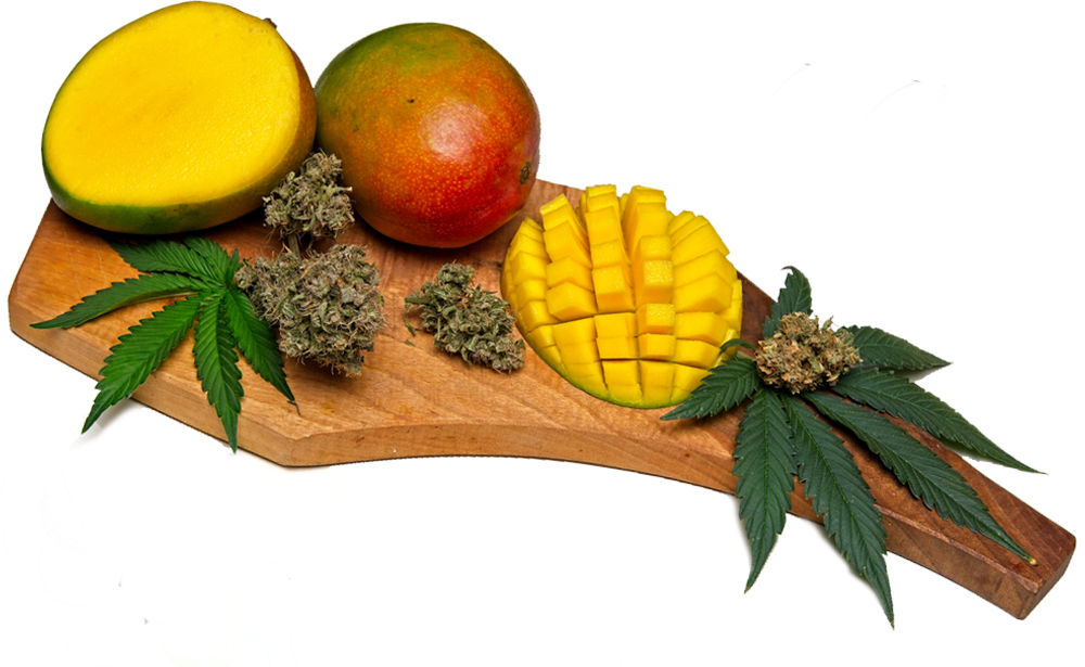 Cutting board with chopped mango and marijuana leaf and dried flowers