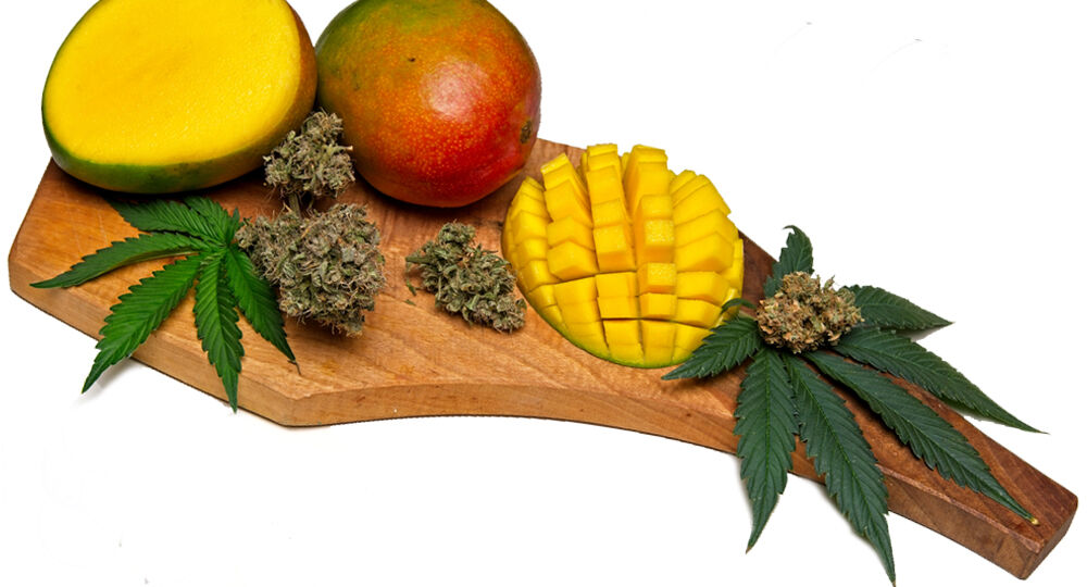 Cutting board with chopped mango and marijuana leaf and dried flowers