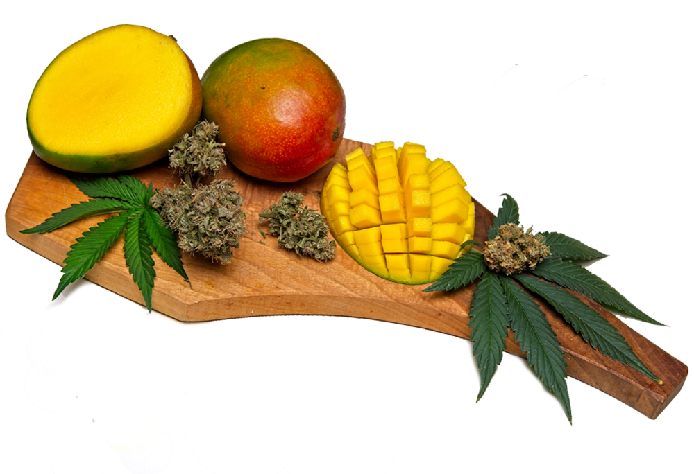 Cutting board with chopped mango and marijuana leaf and dried flowers