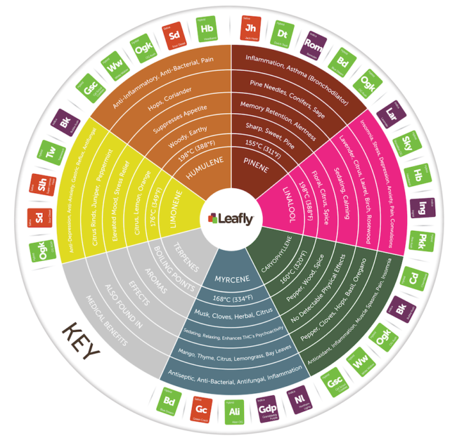 Terpene Wheel